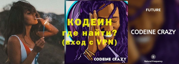 молекула духа Карпинск