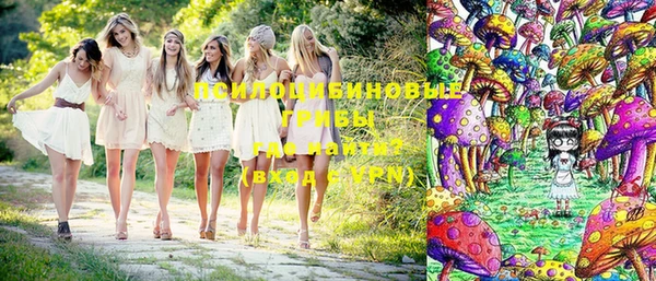 спайс Карталы