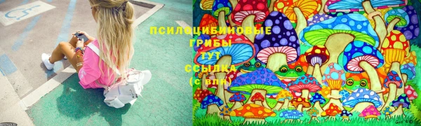 прущие крисы Кодинск