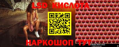 гашик Кунгур