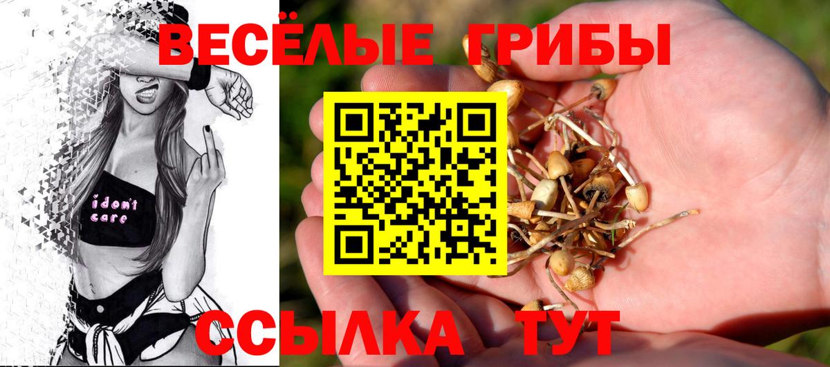 Галлюциногенные грибы GOLDEN TEACHER Клинцы