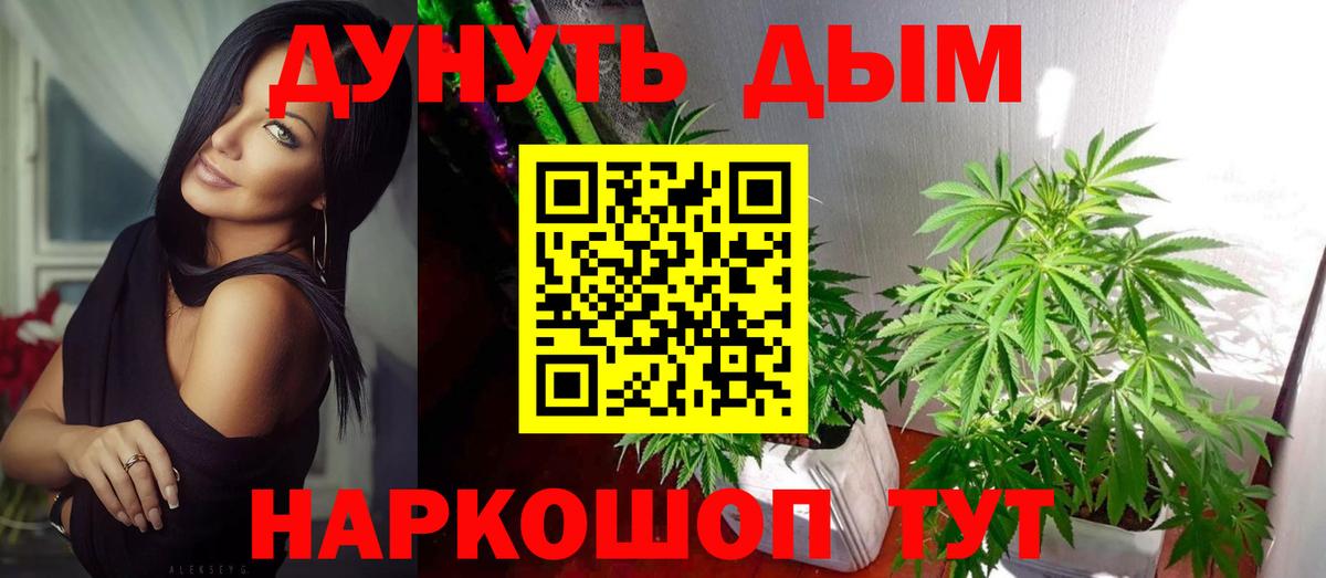 Шишки марихуана семена Клинцы